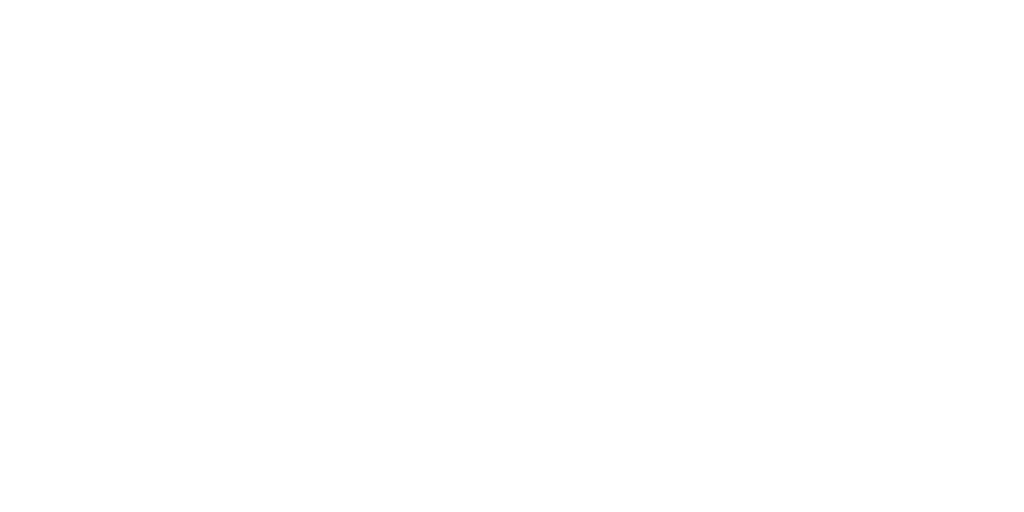 Camera and Video Icon
